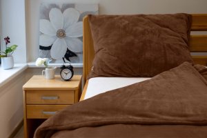 Polášek Holešov Povlečení MIKROFLANEL UNI č.58 oříšek 40x40 100% polyester Hnědá