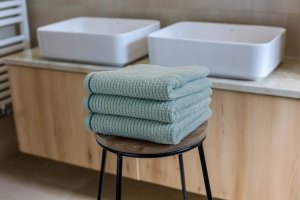 Polášek Lada mint 100% bavlna Zelená Ručník 50x100