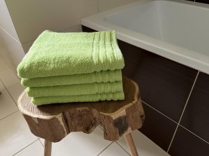 Polášek Laura Green 100% bavlna Zelená 50x100