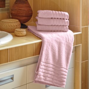 Polášek Holešov Ema starorůžová 100% bavlna Ručník 50x100 Starorůžová