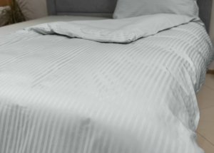 Polášek Holešov Damaškové povlečení Silver 100% bavlna pruhy 140x200 / 70x90 Světle šedá